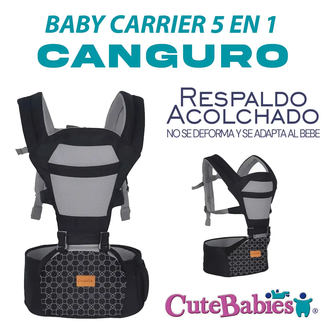 Cargador de bebé 5 en 1 Cute babies