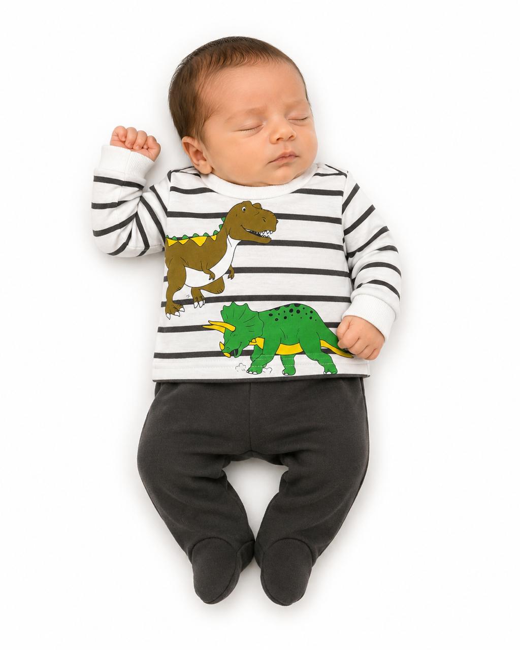 Conjunto Premier dinos Kids land